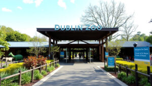 Zoo w Dublinie: bilety, godziny, porównanie i porady